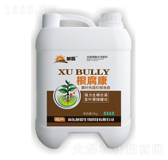 ������-�������