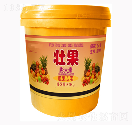 �Ϲ����Éѹ������-��������