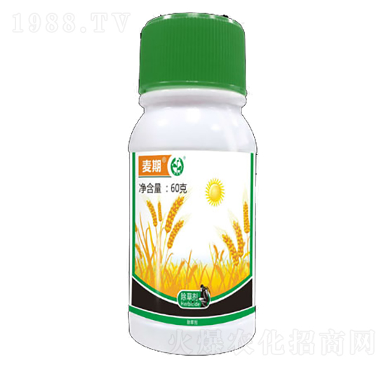 ����-ɽ���r(n��ng)�Y