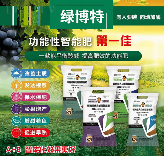 ̼ø��(j��ng)�书�������ܷ�13-7-40+TE-�ф�(chu��ng)�G��