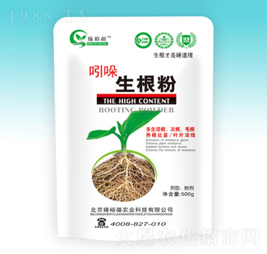 ������-��ԣ��