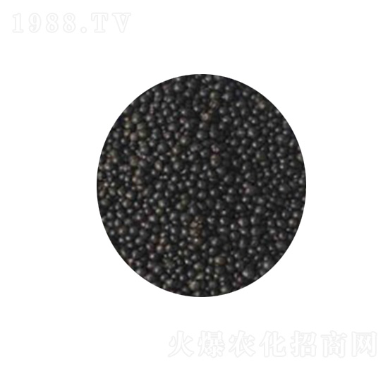 �����ЙC���w��-�d��