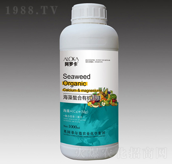 ���������ЙC�}�V-���_��-�Ɲ��r(n��ng)��