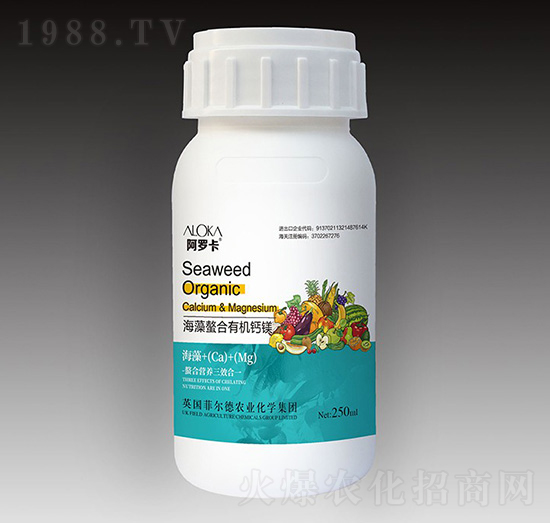 ���������ЙC(j��)�}�V-�����_-�Ɲ�(r��n)�r(n��ng)��