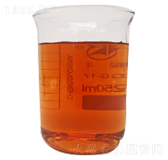 ø�ⰱ����-�����Ƽ�