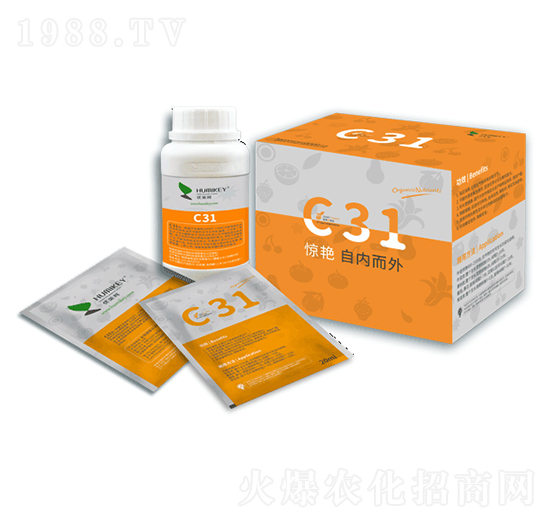 �Z��C31-��(y��u)����