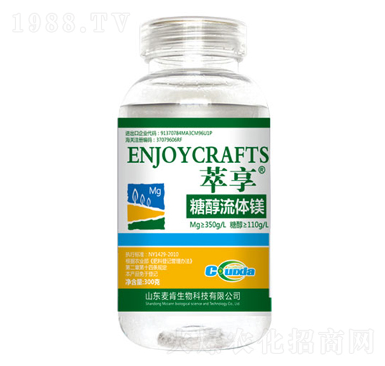 �Ǵ����w�V-��������