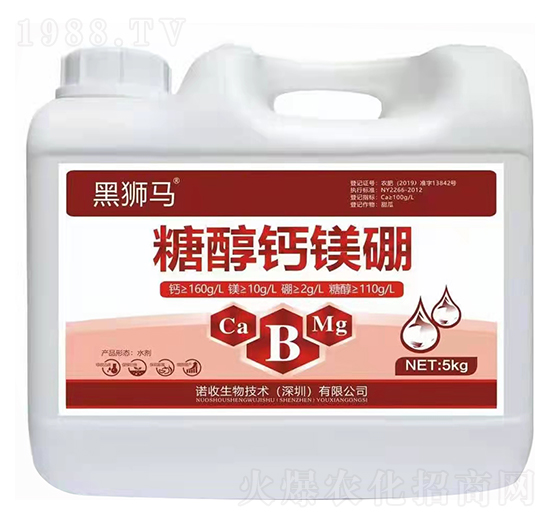 �Ǵ��}�V��-�ڪ{�R-�Z������