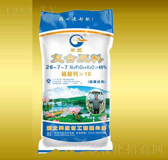 �ͺϷ���26-7-7-����