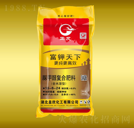 ���ȩ��(f��)�Ϸ�16-6-24-�������-����