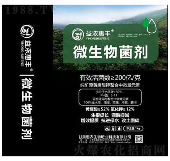 �����S΢�������-���r����