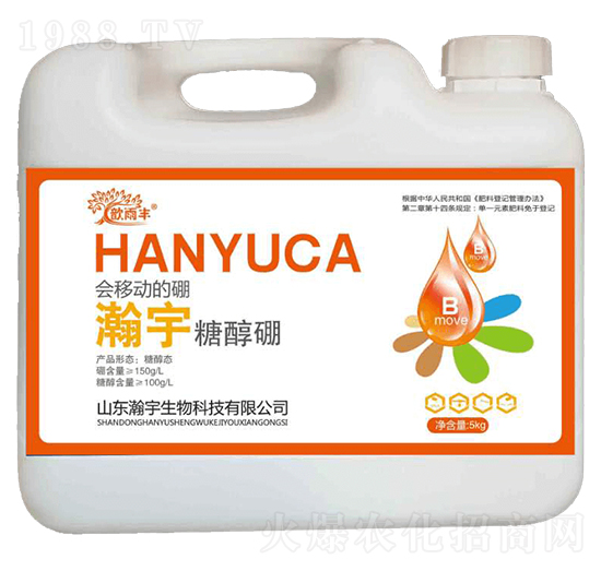 �Ǵ���-�������