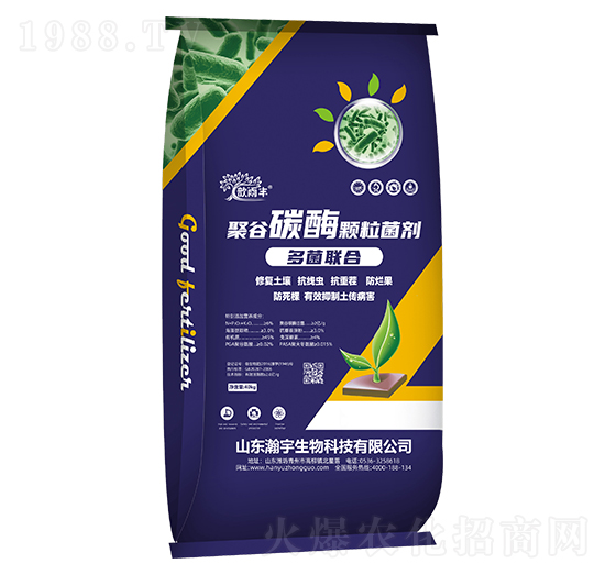 �ۺ�̼ø�w������-�������