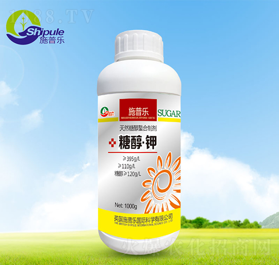 �Ǵ����-ʩ�՘�