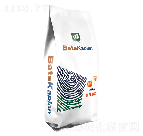 ����ؐ��-�W��ɳ