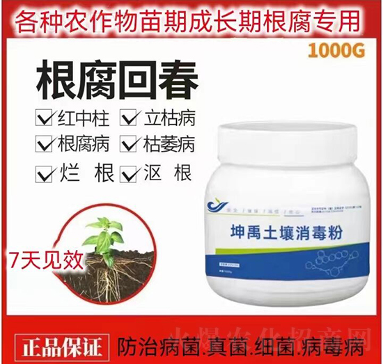 ��������������-�����