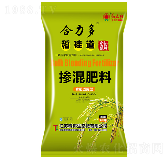 ˮ���m���͓������20-8-18-�����ࡤ�����-�ư����B(t��i)