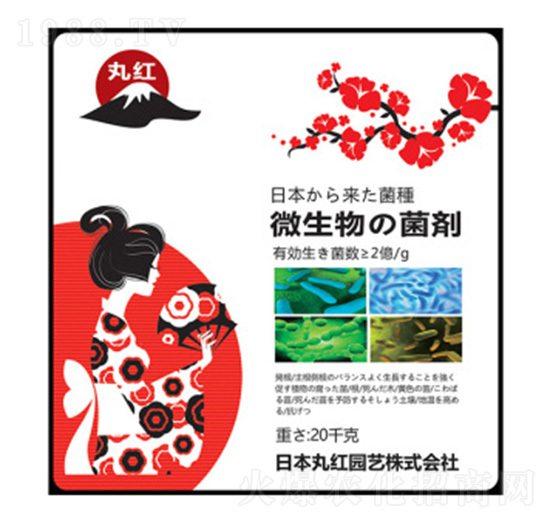 ΢�������-�Ƃ��d��