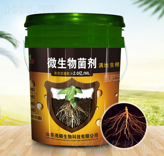 2�|΢�������-�������