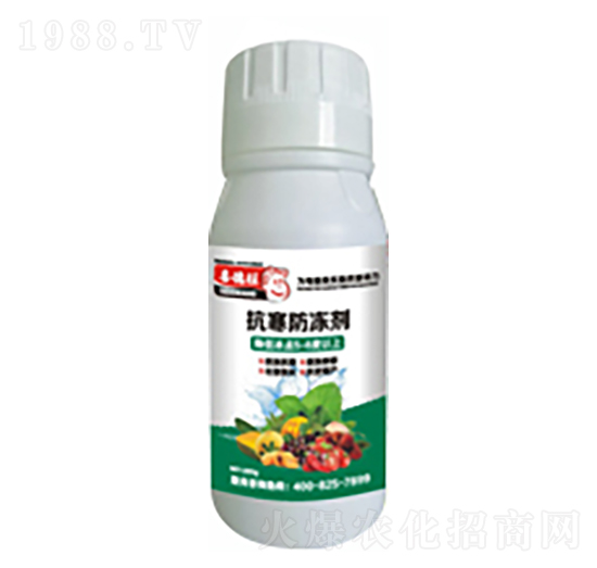 ����������-ϲ����