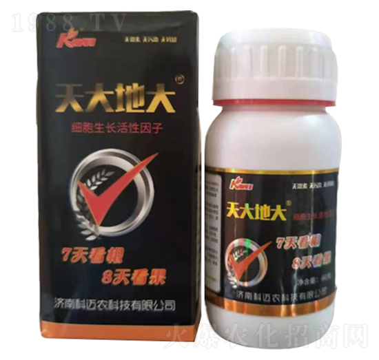 ���ش�-���~�r