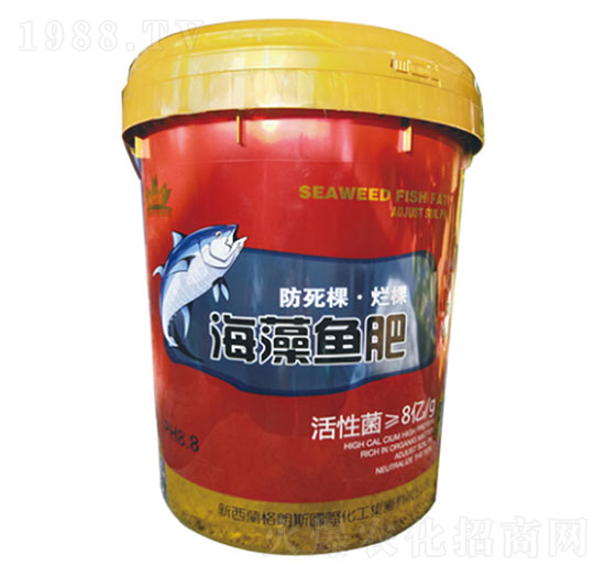 �����~��-ʥ�ɶ�