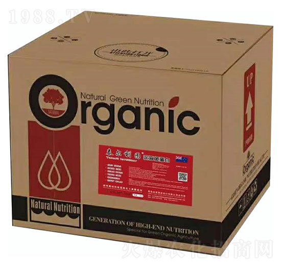 ̩�����D����~����-ʥ�ɶ�