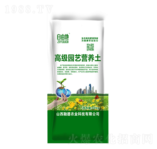 �߼��@ˇ�I�B(y��ng)��-���ɵ�-�ڵ��r�I(y��)