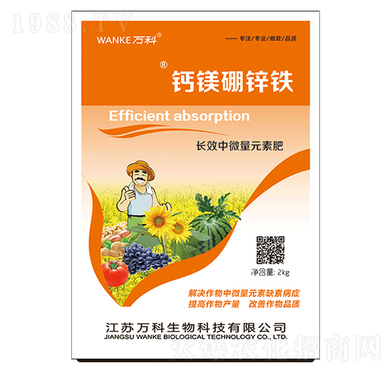 �}�V���\�F-�f��