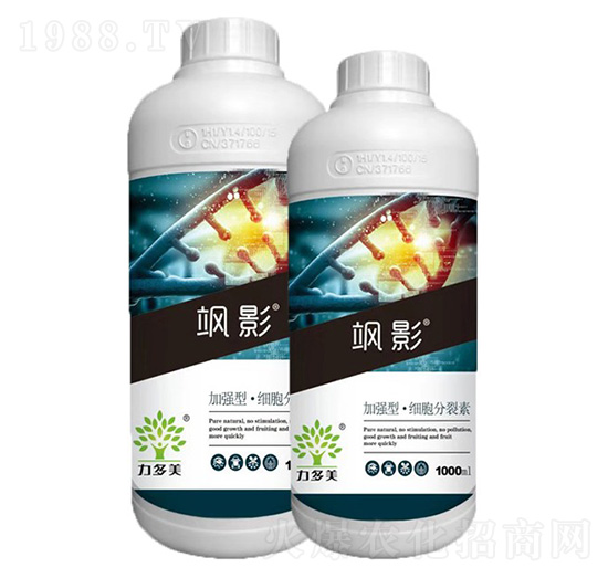 �ӏ��͡�����������-�SӰ-�r(n��ng)ʥ��