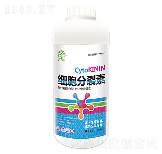 ��(x��)��������-������-�r(n��ng)ʥ��