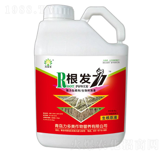 ��(qi��ng)��������-���l(f��)��-������-�r(n��ng)ʥ��