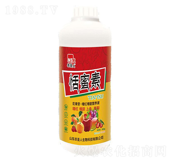 ������-�rʥ��