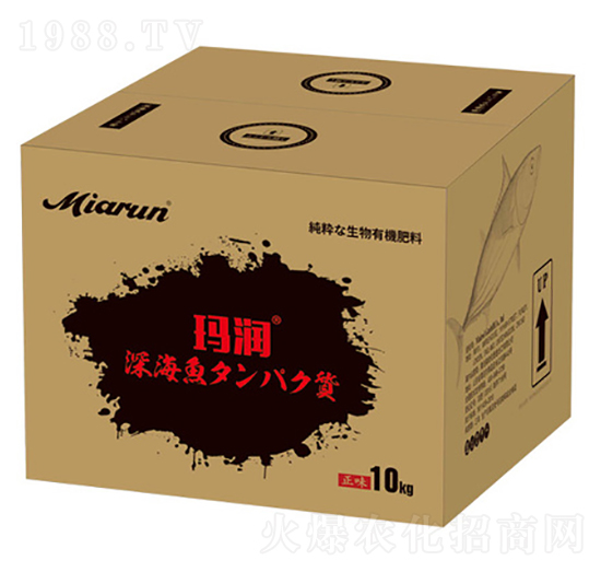 �ձ��M���~����-����-����