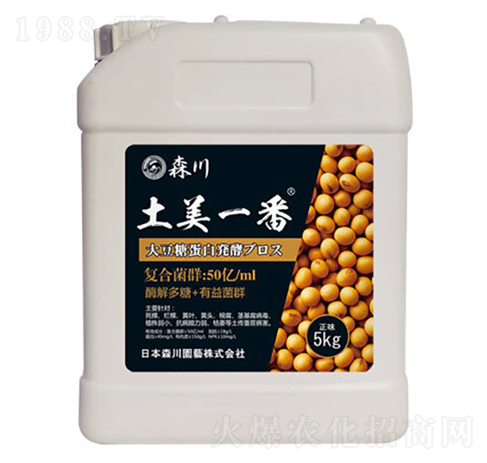 ����һ�������;���-ɭ��-����