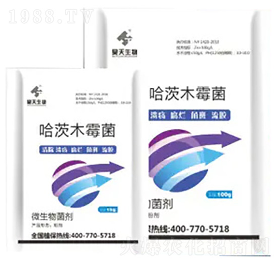 ����ľù��-�������