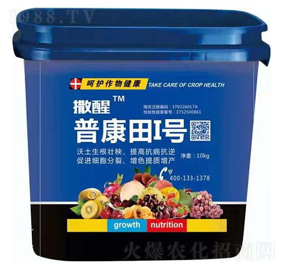 �տ���1̖-����-�տ���