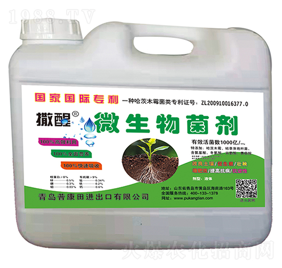 ΢�������-���ѣ�Ͱ��-�տ���