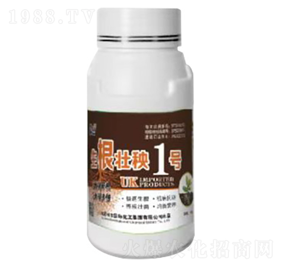 ��������1̖(h��o)-Ӣ������-�տ���