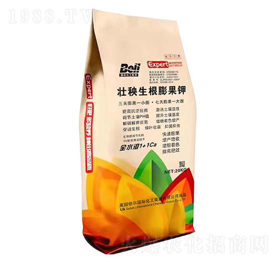 ������������-Ӣ��(gu��)����-�տ���