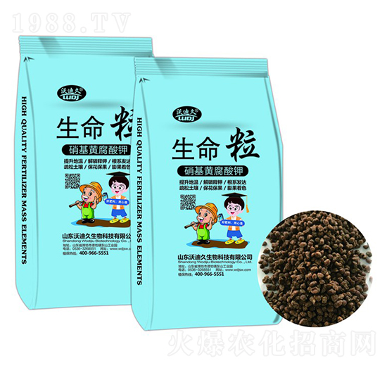 �����S�����-������-�ֵϾ�