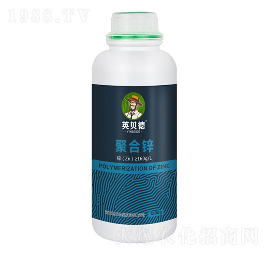 �ۺ��\-Ӣؐ��