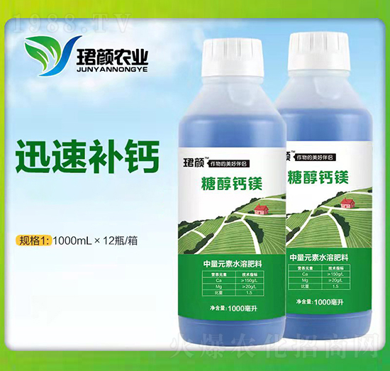 �Ǵ��}�V-�B��r�I(y��)