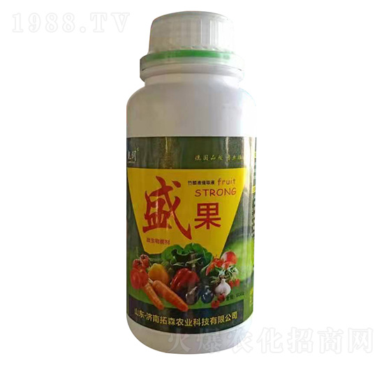 ΢�������-ʢ��-�n��-��ɭ�r�I(y��)