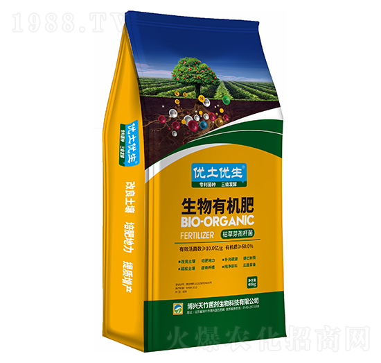 �����ЙC��-��(y��u)����(y��u)��-���d����