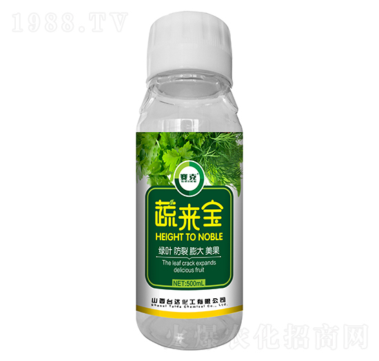 �߁팚-ِ��-�_�_�ʘI(y��)