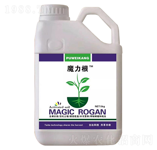 ħ����-ِ��-�_(t��i)�_(d��)�ʘI(y��)