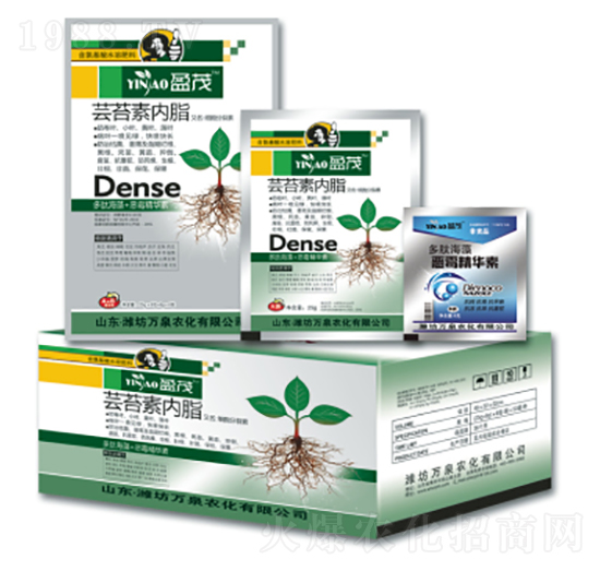 �|̦�؃�(n��i)֬-�fȪ�r(n��ng)��