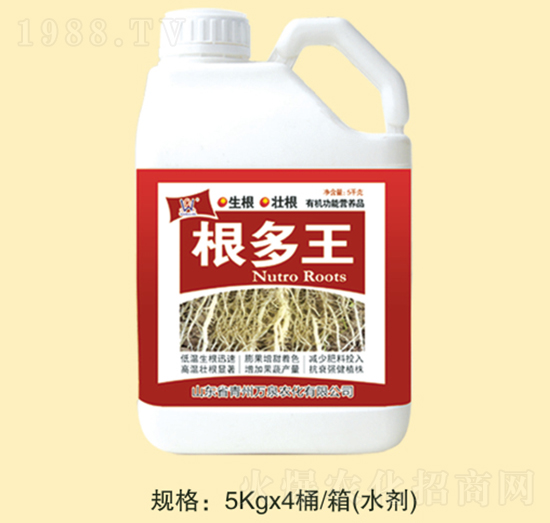 ������-�fȪ�r��