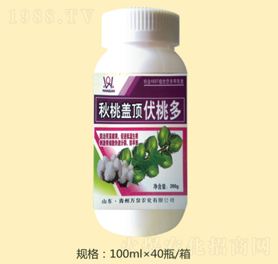 �����w픷��Ҷ�-�fȪ�r(n��ng)��